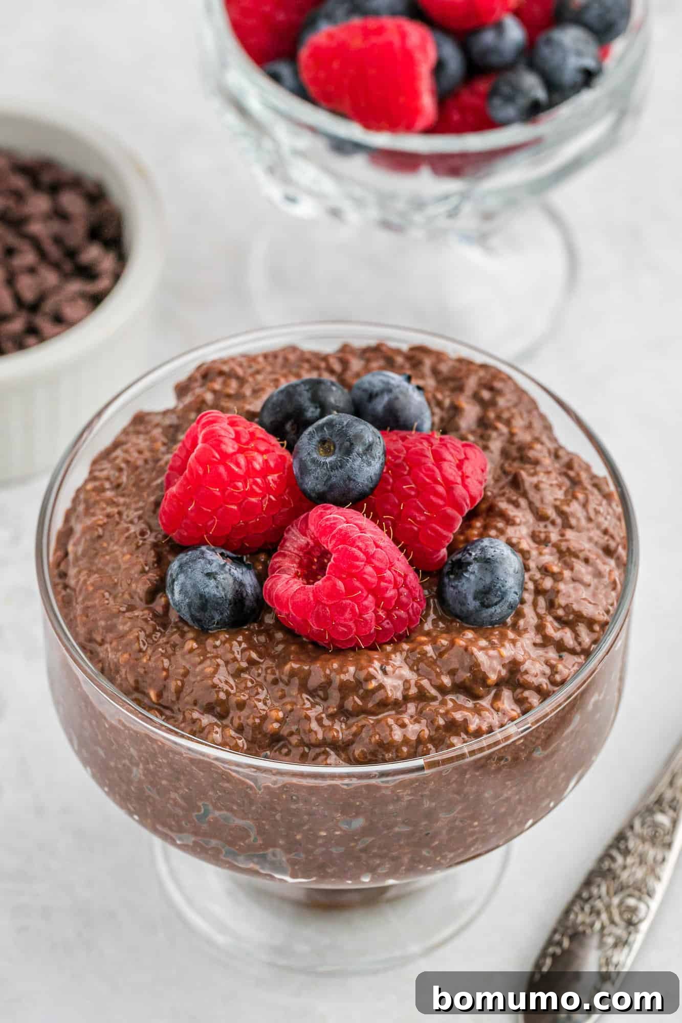 Delicious chocolate chia seed pudding topped with fresh, colorful berries, showcasing a healthy and appealing dessert.