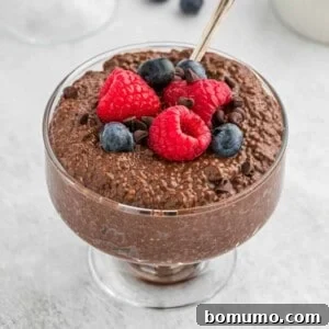 A small bowl of creamy chocolate chia seed pudding, perfectly set and ready to be savored.