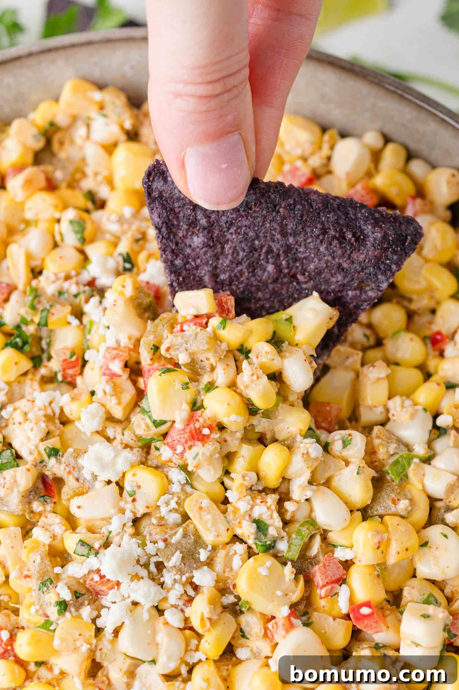 A hand dips a blue corn tortilla chip into a bowl of creamy Mexican street corn dip, generously topped with crumbled cotija cheese and fresh green herbs.