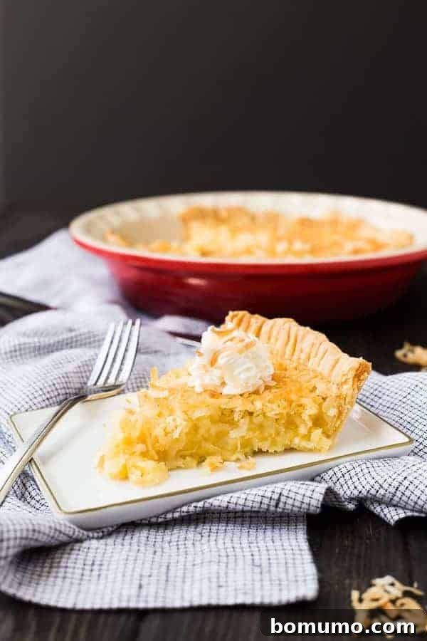 A perfect slice of Coconut Custard Pie, garnished with a dollop of whipped cream and toasted coconut flakes, presented on a white plate.