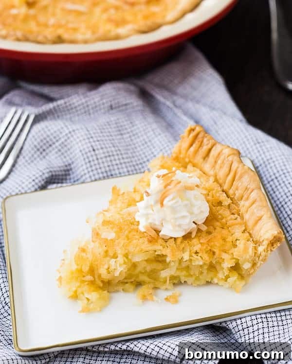 A slice of creamy Coconut Custard Pie, topped with a generous swirl of whipped cream, resting on a patterned plate, ready to be savored.