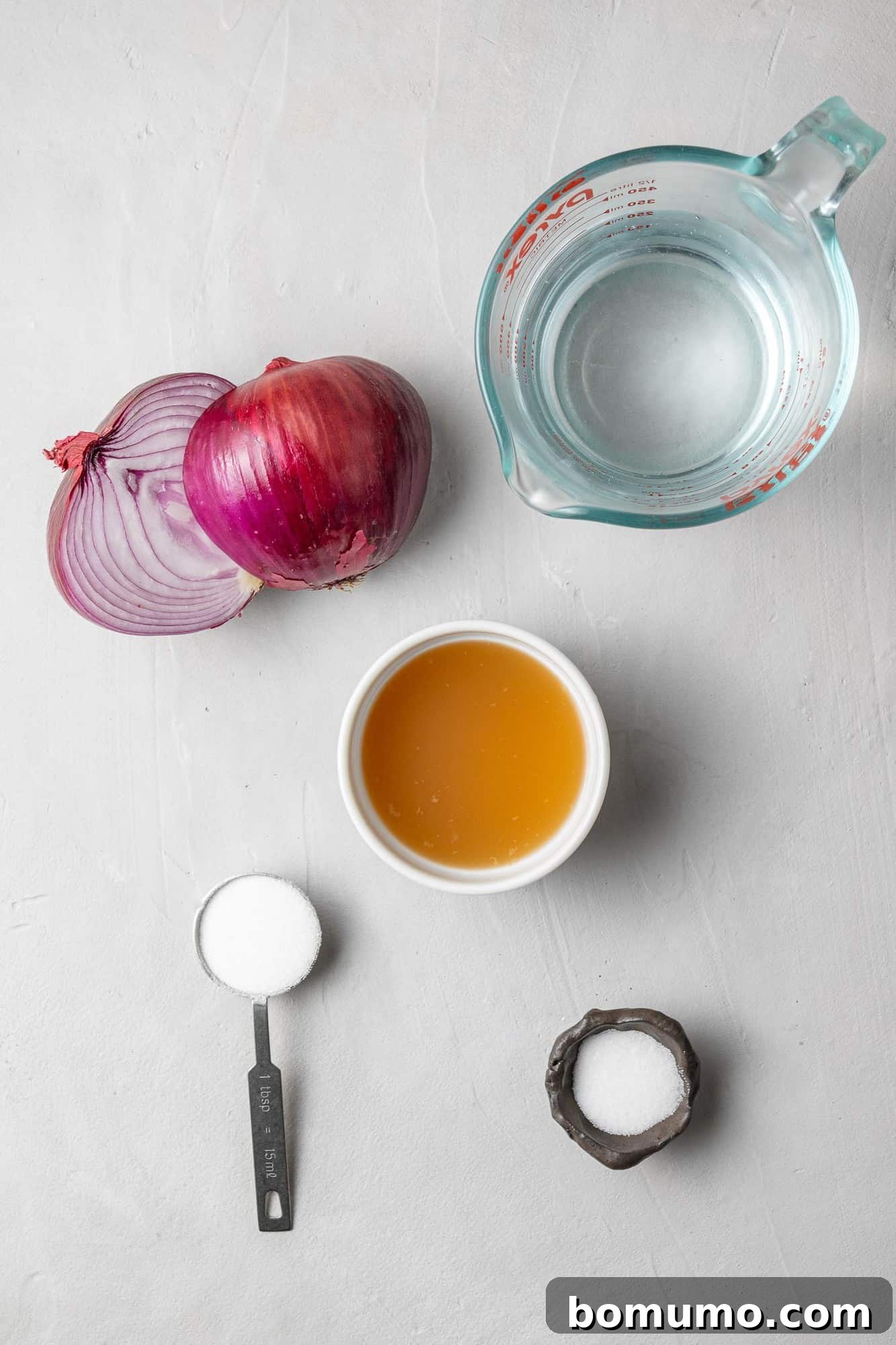 Overhead view of fresh ingredients: a whole red onion, a bottle of apple cider vinegar, a bowl of sugar, and a bowl of salt, ready for pickling.