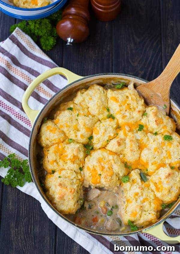 Overhead view of Dutch oven containing Chicken Stew with Cornmeal Biscuits, with wooden spoon inserted, brown striped cloth in background.