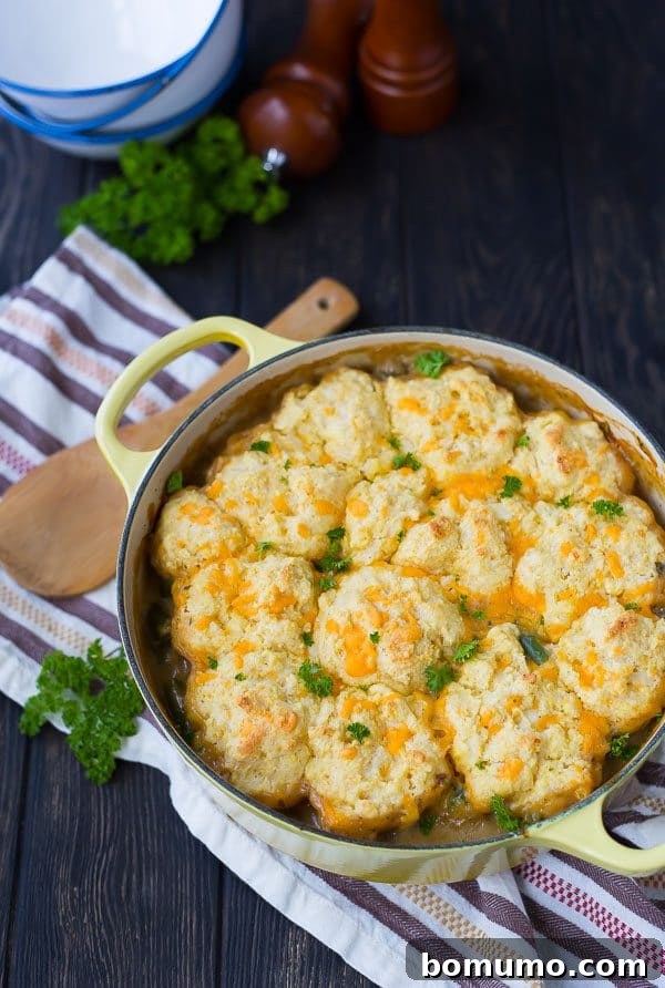 Overhead of Dutch oven filled with chicken stew, garnished with fresh parsley.