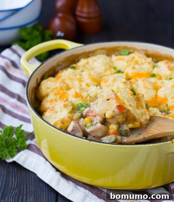 Closeup of pan of chicken stew with wooden spoonful scooping stew out.