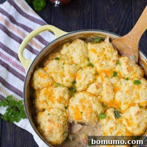Overhead of Dutch oven containing chicken stew with cornmeal biscuits.