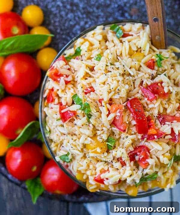 A beautiful overhead shot of vibrant bruschetta orzo pasta salad nestled in a clear glass bowl, with a serving spoon and fresh, ripe whole tomatoes arranged artfully alongside.