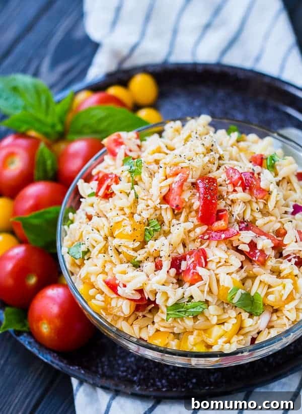 A tantalizing partial image of the bruschetta orzo pasta salad, showcasing its vibrant colors and inviting textures in a serving bowl.