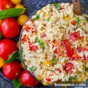 Fresh and flavorful, this bruschetta orzo pasta salad is going to be a summertime favorite! No mayo or yogurt, making it perfect for warm-weather picnics. Get the easy summer pasta salad recipe on RachelCooks.com!