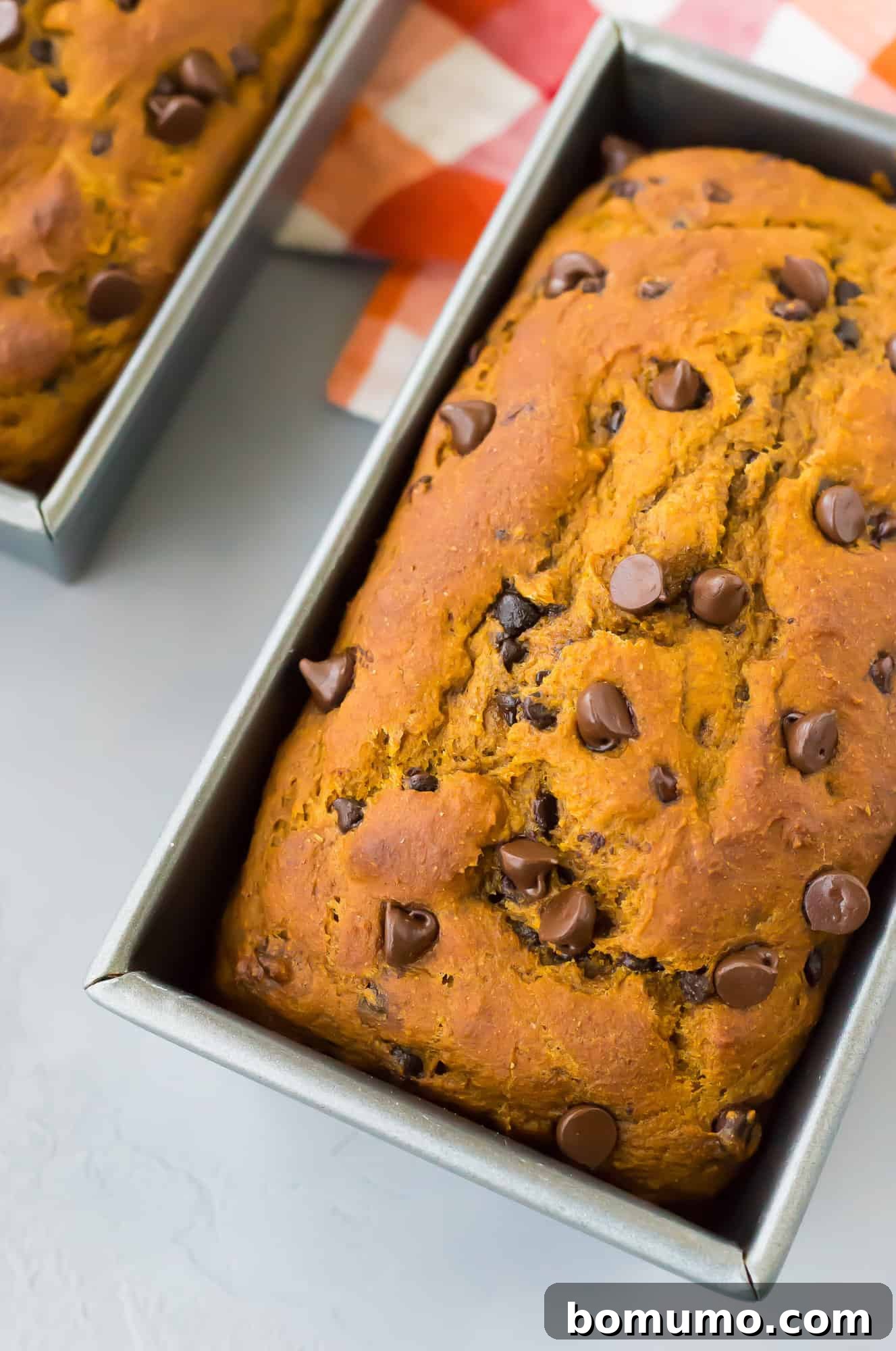 Close up of a moist pumpkin chocolate chip bread loaf fresh from the oven, still in its loaf pan.