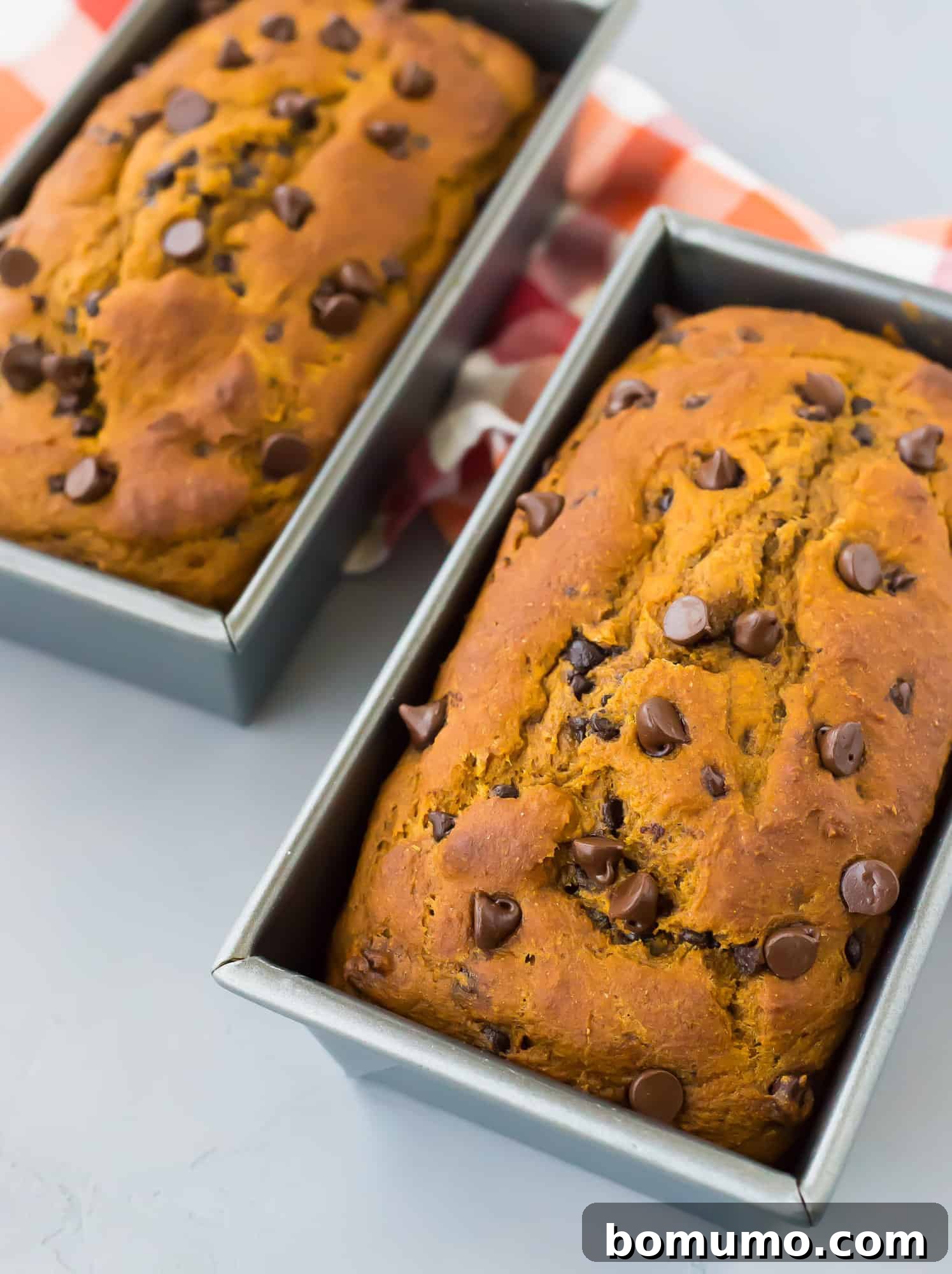 Two freshly baked pumpkin chocolate chip bread loaves cooling in their loaf pans, ready to be enjoyed.
