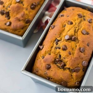 Two pumpkin chocolate chip bread loaves cooling in loaf pans.