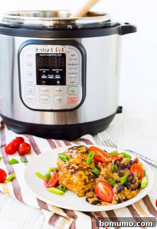 Round white plate with chicken and quinoa, with Instant pot in background.