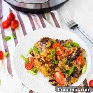 Overhead of round white plate containing chicken with quinoa, instant pot in background.