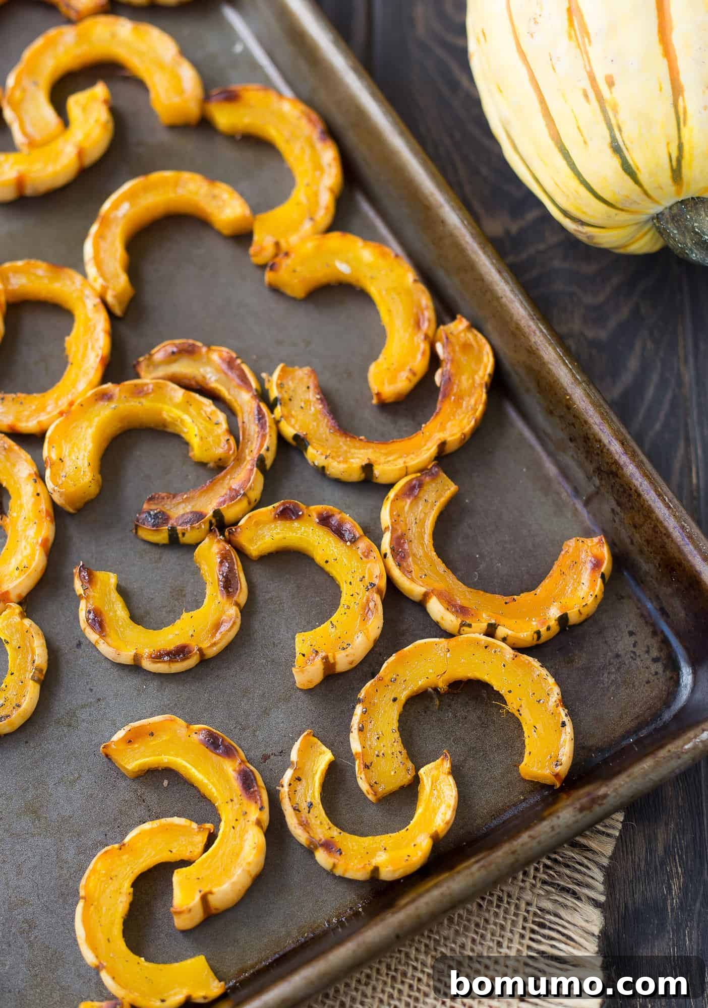 Simple Roasted Delicata Perfection 2 Perfectly roasted delicata squash slices on a sheet pan, beautifully caramelized and ready to serve.