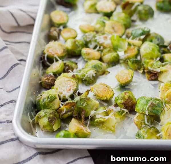 Close-up of a sheet pan filled with golden-brown roasted Brussels sprouts, generously sprinkled with grated Asiago cheese, showing off their crispy edges.
