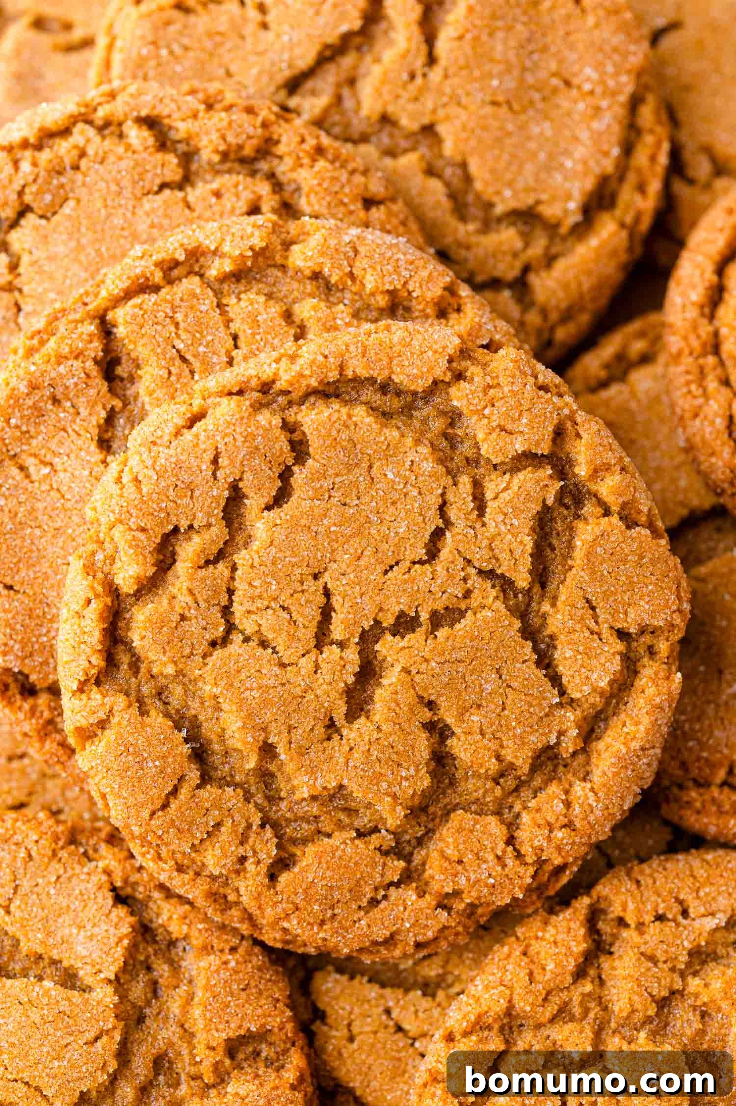 Close-up of several golden-brown gingersnaps with cracked tops, arranged closely together, showcasing their perfect texture and sugar sparkle.