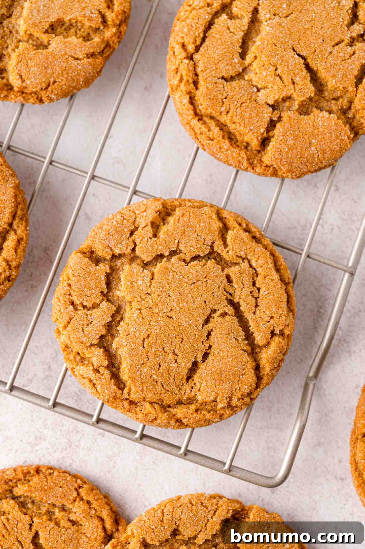 Golden brown gingersnaps cooling on a wire rack, showcasing their distinctive crackled surface and perfect round shape after baking.