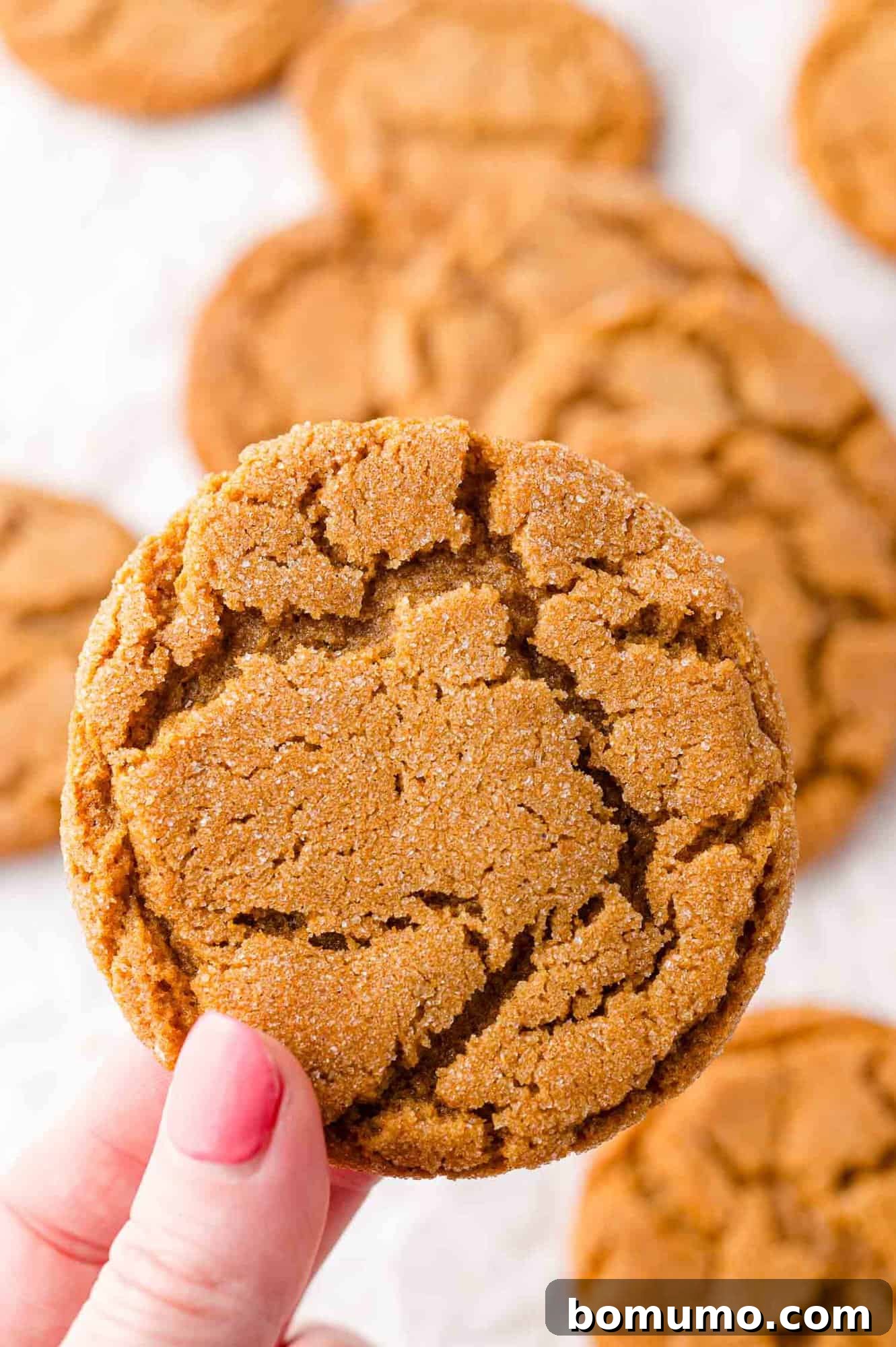 A hand gently holding a broken ginger cookie, revealing its perfectly crisp and chewy texture, with more cookies visible in the background.