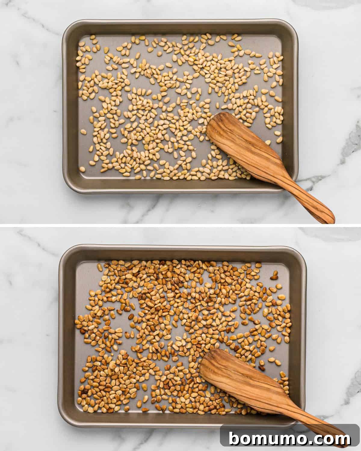 Pine nuts spread on a rimmed baking sheet, ready for oven toasting.