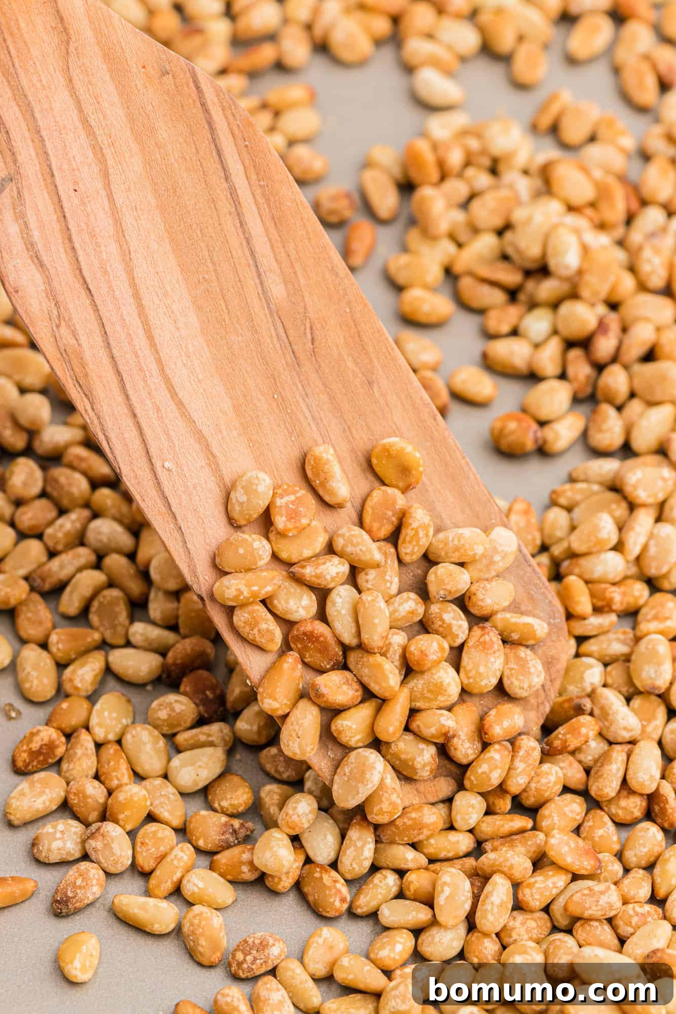 Close-up of golden brown pignolias, perfectly toasted and ready to enjoy.