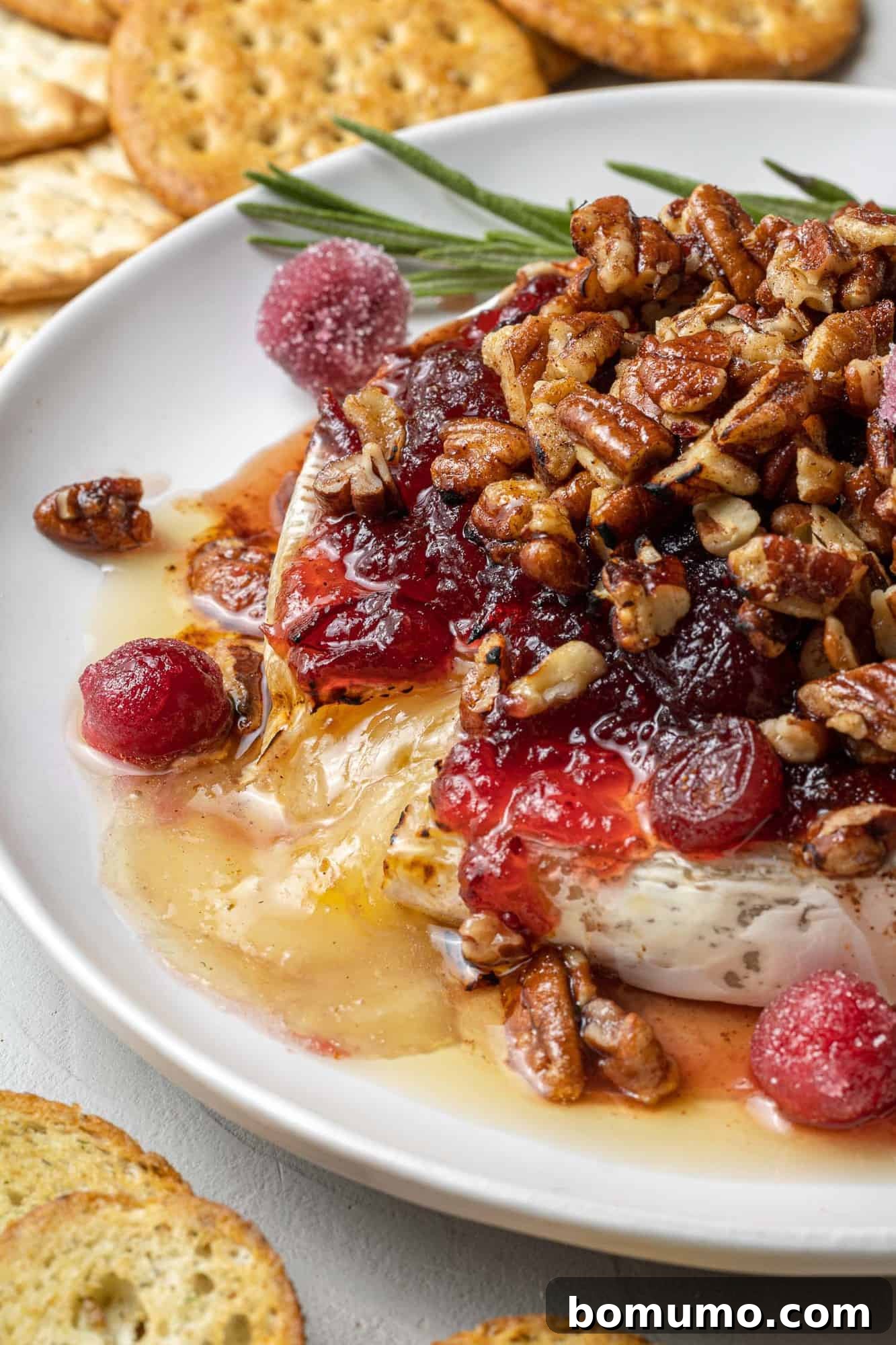 Close up of brie oozing out of a wheel of baked brie.