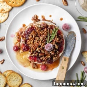 Overhead view of baked brie topped with cranberries and pecans.