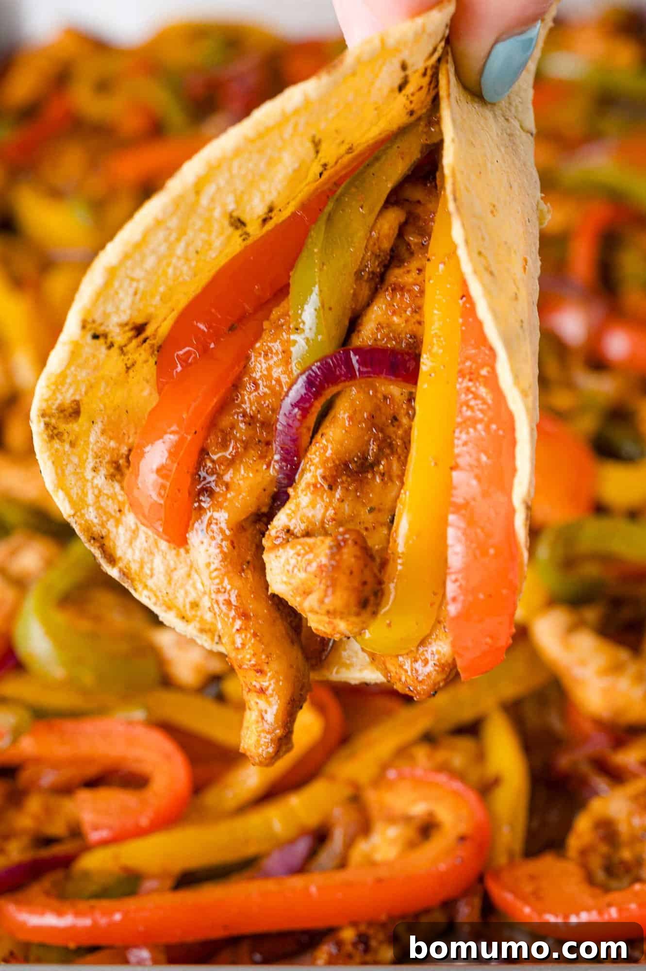 A perfectly assembled chicken fajita, showcasing the flavorful filling tucked into a soft tortilla.