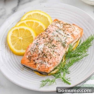 Salmon on a white plate with lemon slices and fresh dill.