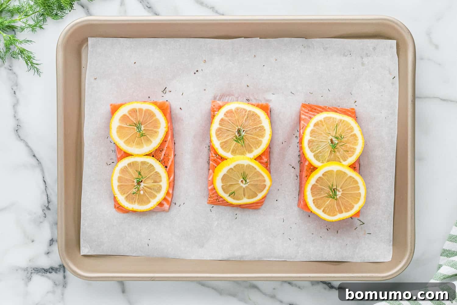 Uncooked salmon topped with lemon slices.