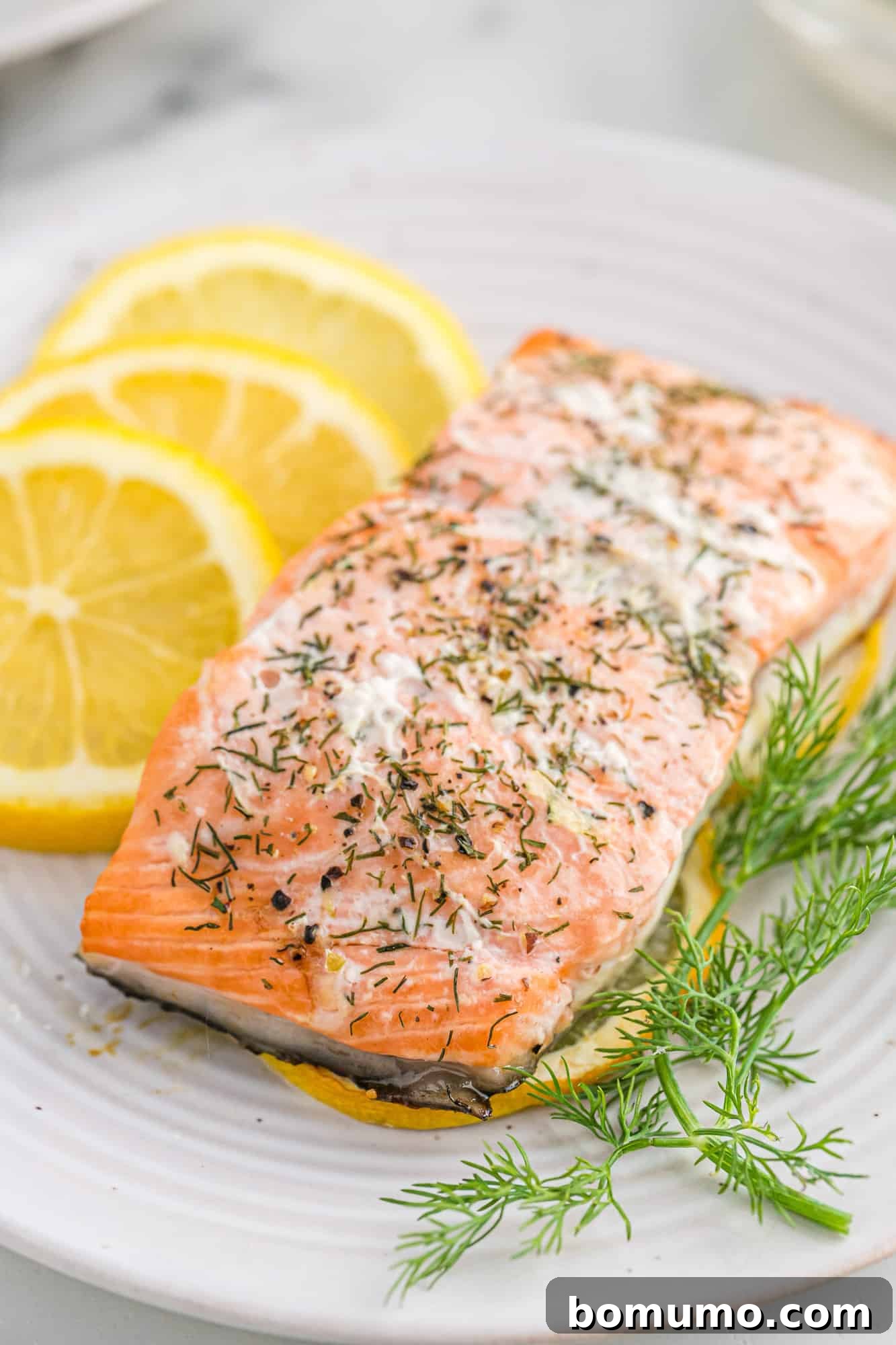 Plated salmon with lemon slices and dill sprigs.