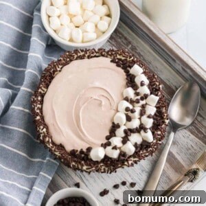 Overhead view of a sprinkle lined bowl filled with hot chocolate dip, topped with marshmallows and chocolate chips.