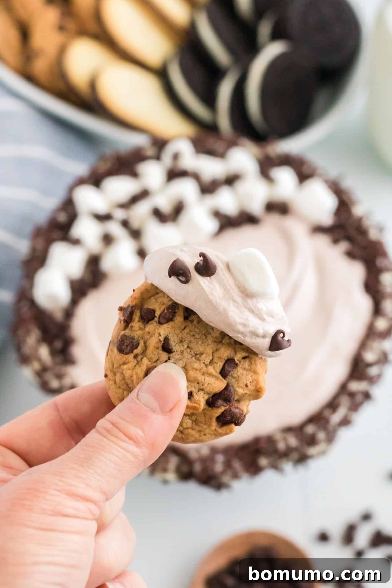A crisp chocolate chip cookie gracefully dipped into the luscious, light brown, fluffy hot chocolate dip, highlighting its irresistible texture.
