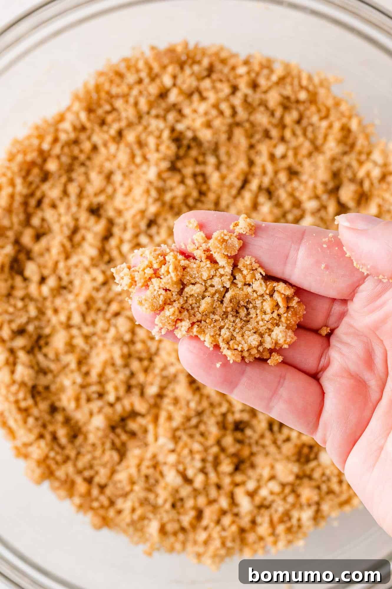Effortless Mini Cheesecake Delights 7 A hand holds a portion of brown, crumbly mixture above a bowl filled with more of the same mixture.