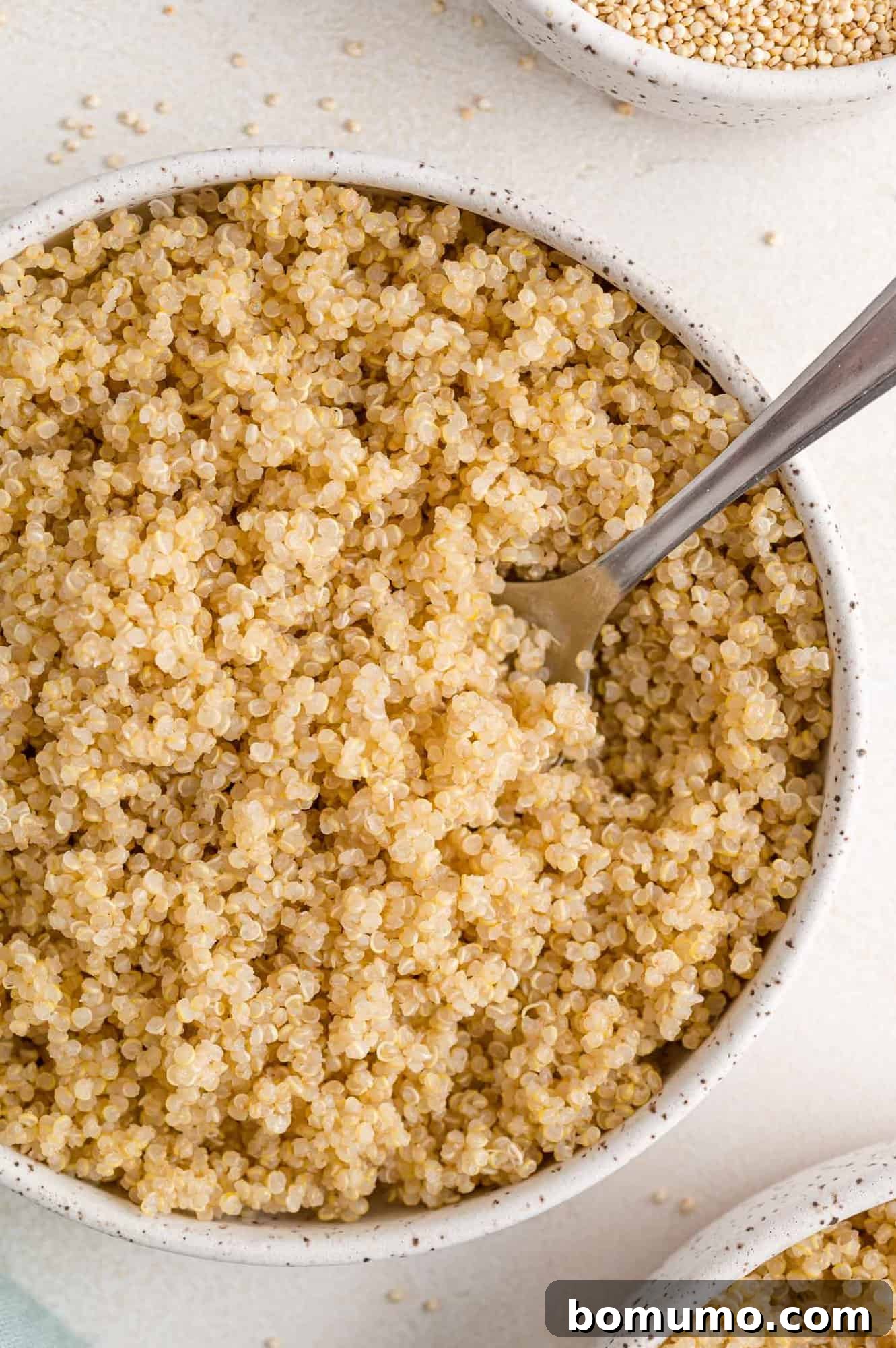 Effortless Instant Pot Quinoa 2 Fluffy instant pot quinoa in a round white bowl, ready to serve.