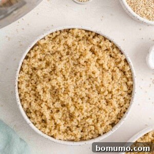Fluffy cooked quinoa in a bowl, perfectly prepared.