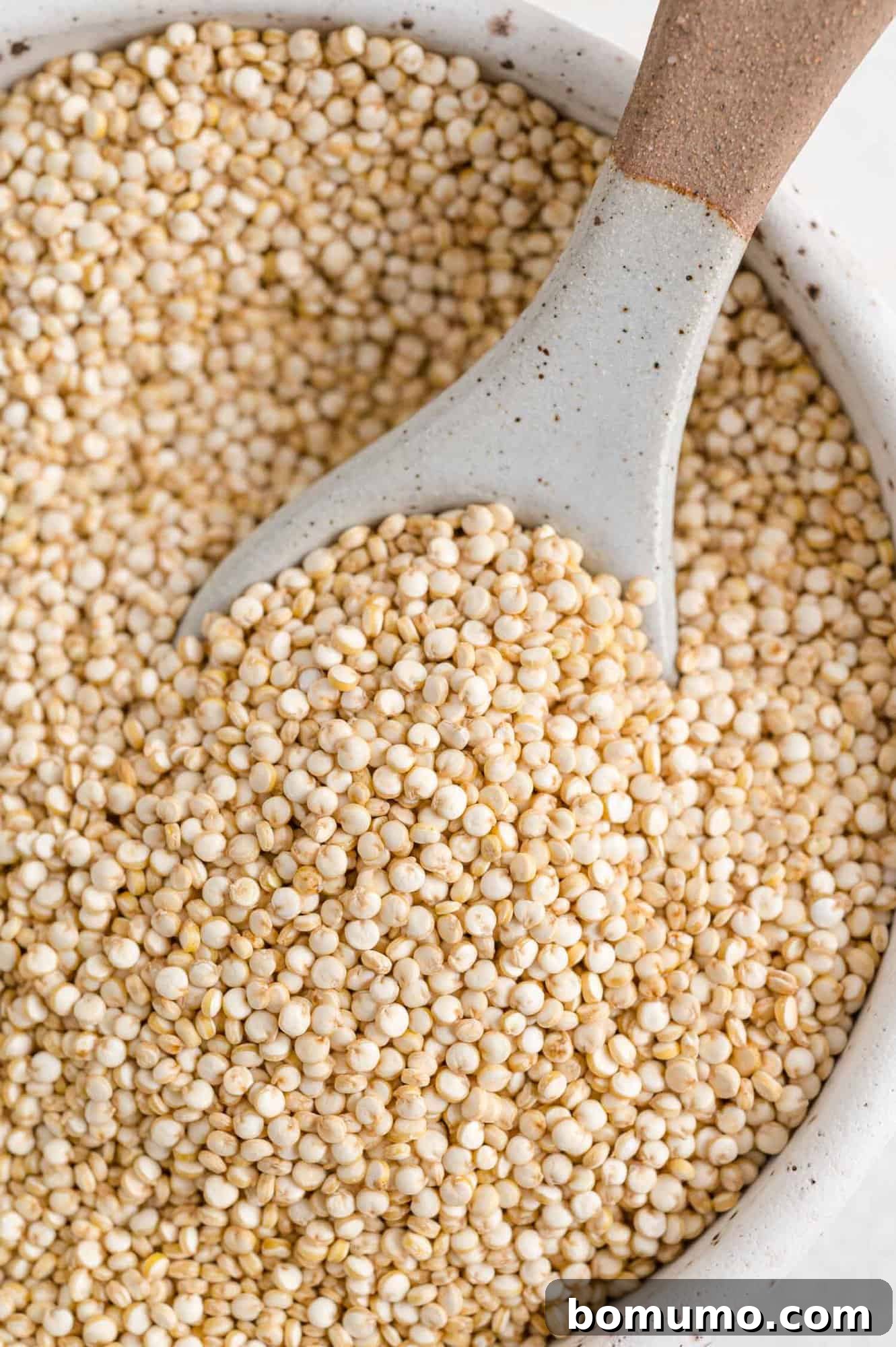 Effortless Instant Pot Quinoa 3 Uncooked quinoa grains in a bowl, showcasing its natural texture.