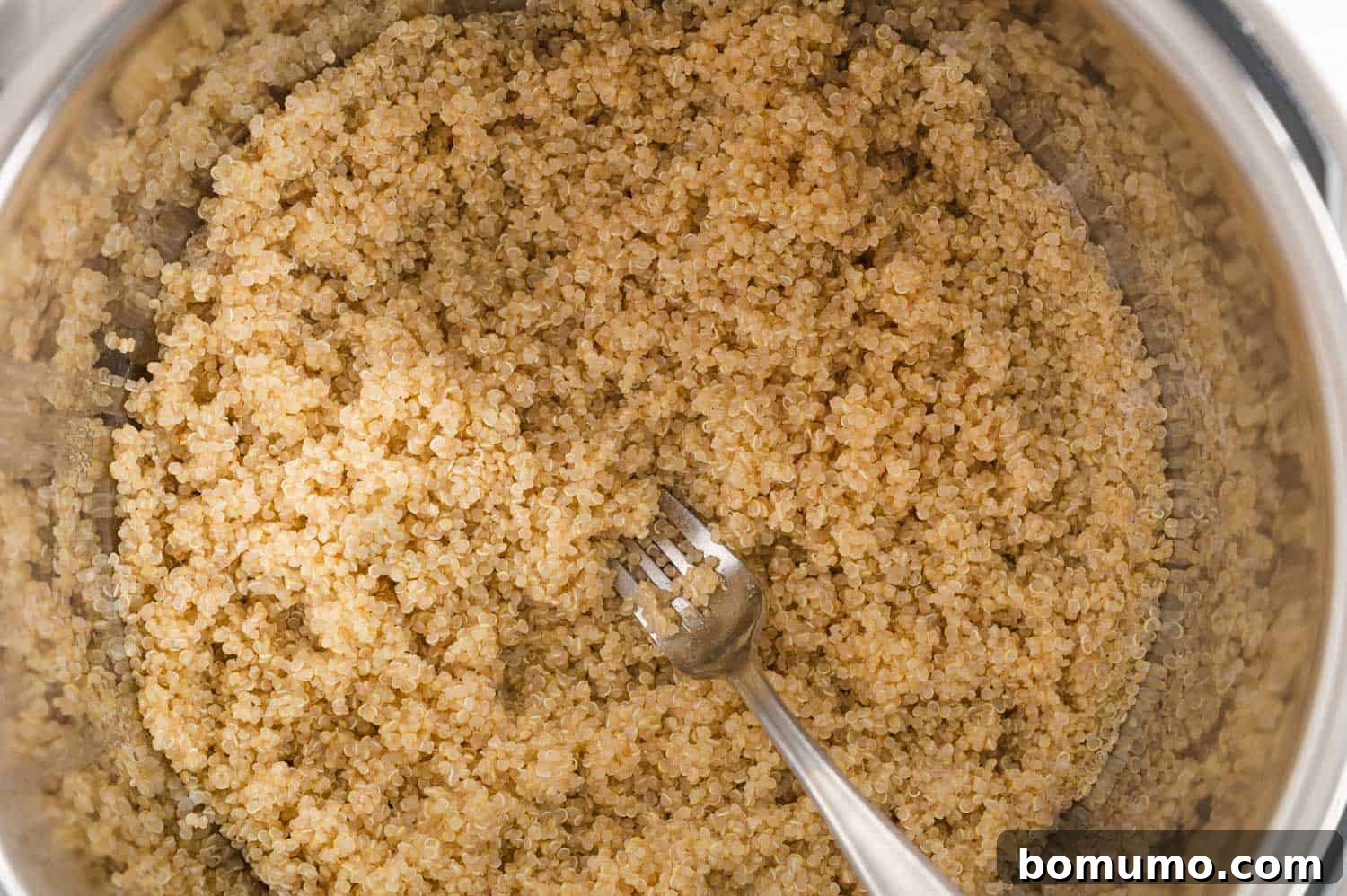 Effortless Instant Pot Quinoa 7 Cooked quinoa being fluffed with a fork in the Instant Pot.