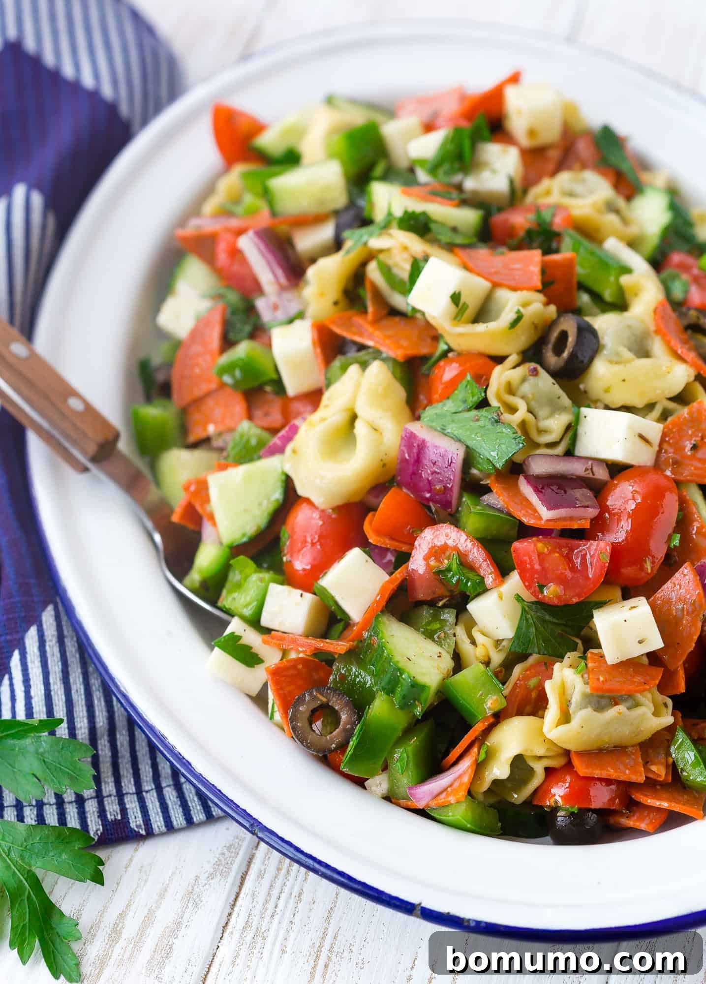 Close-up of a vibrant pasta salad with olives, tortellini, crisp cucumbers, savory pepperoni, and other fresh ingredients, ready to be served.