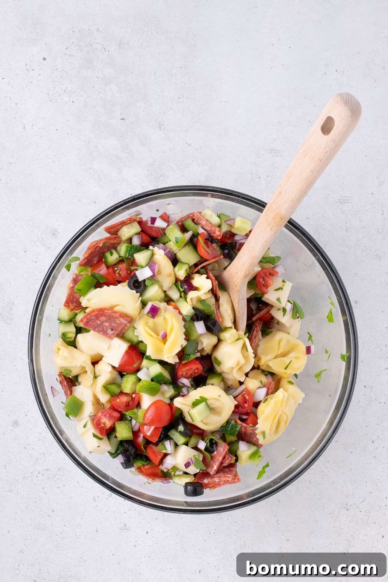 A beautifully composed bowl of tortellini pasta salad, showcasing tender tortellini, crisp vegetables, savory salami, and creamy cheese, artfully arranged on a light-colored surface beside a wooden serving spoon.