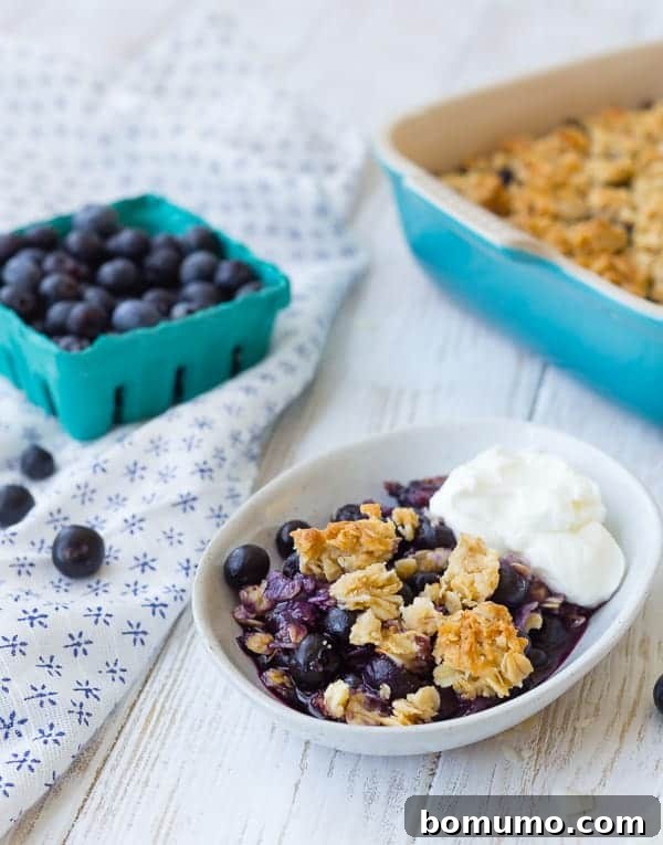 Blueberry Coconut Delight 5 Serving dish containing blueberry crisp with a dollop of yogurt.