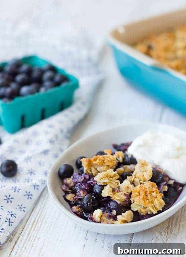 Blueberry Coconut Delight 6 Small white oval dish containing a serving of blueberry crisp with yogurt.