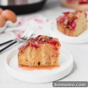 A delectable slice of Rhubarb Instant Pot cake, beautifully presented next to another cake slice, promising a moist and flavorful treat.