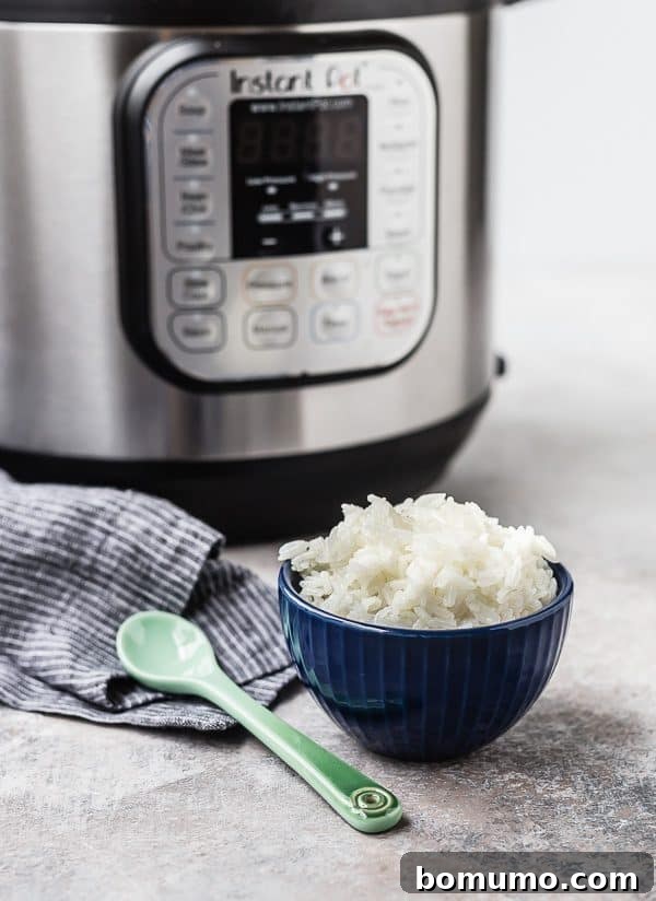 Serving of rice in bowl, with Instant pot in background.