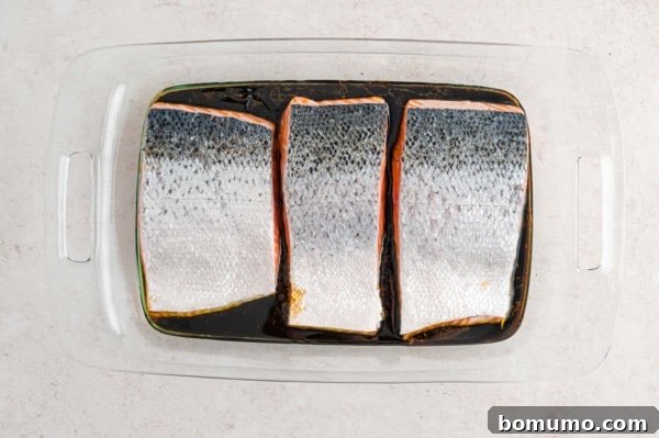 Salmon Fillets Marinating