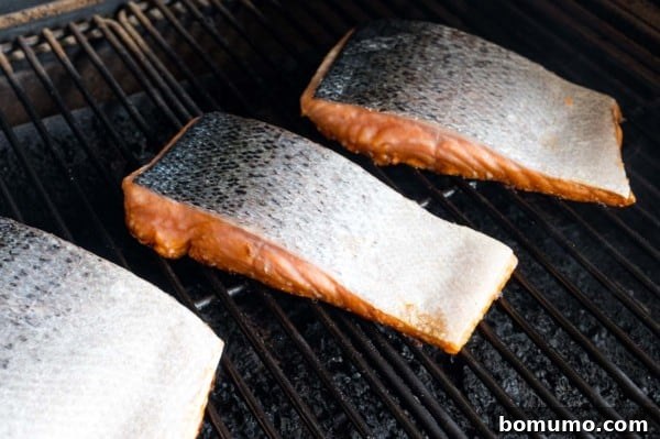 Salmon Fillets on Grill