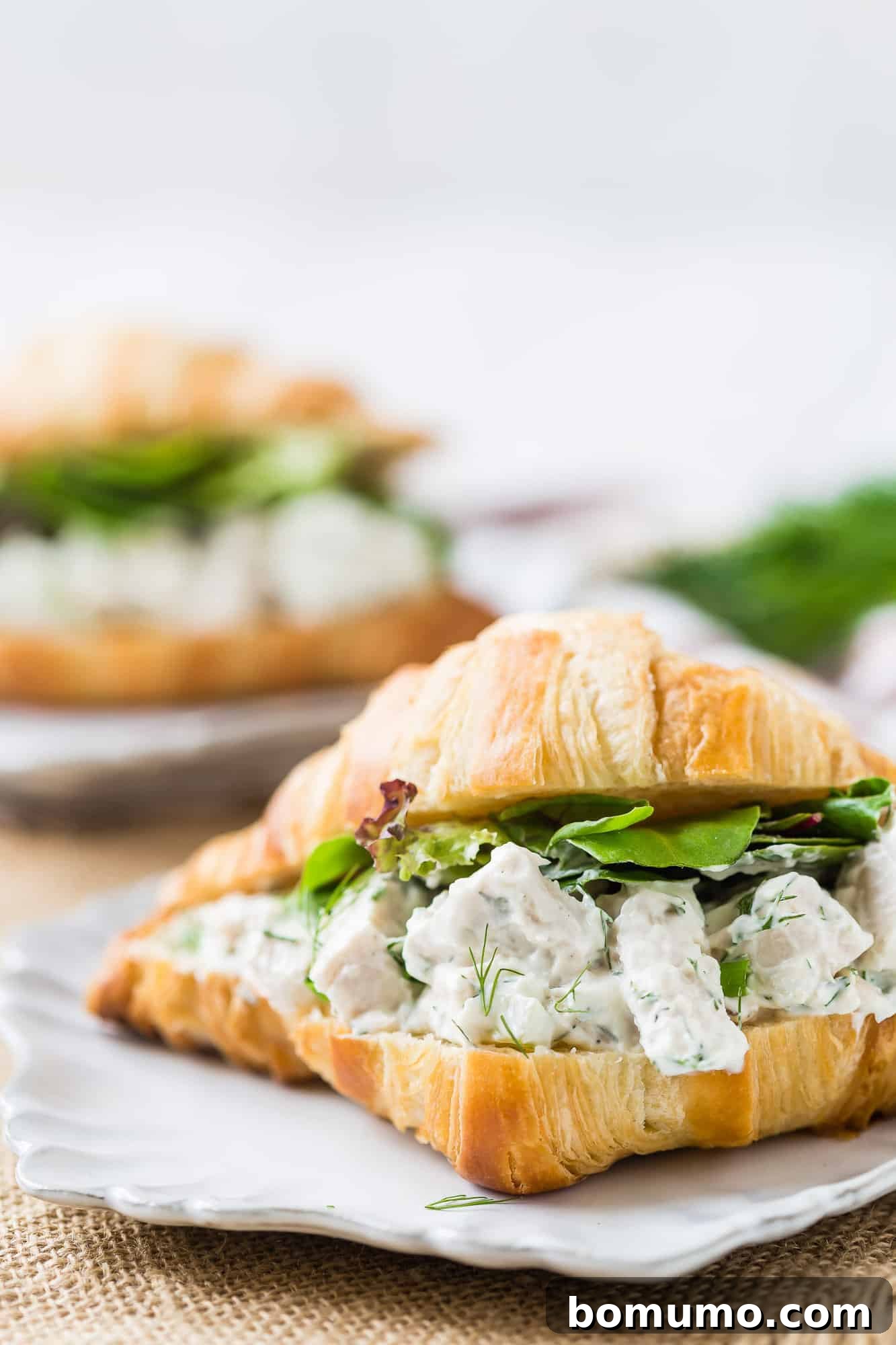 Creamy dill chicken salad served on a flaky croissant with fresh lettuce.