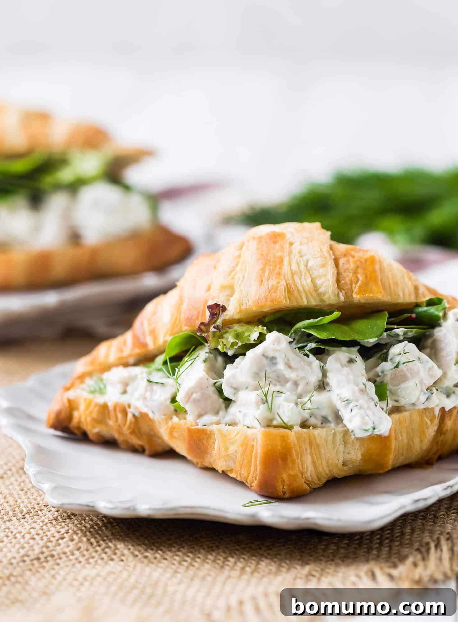 Generous serving of dill chicken salad on a croissant, ready to be enjoyed.