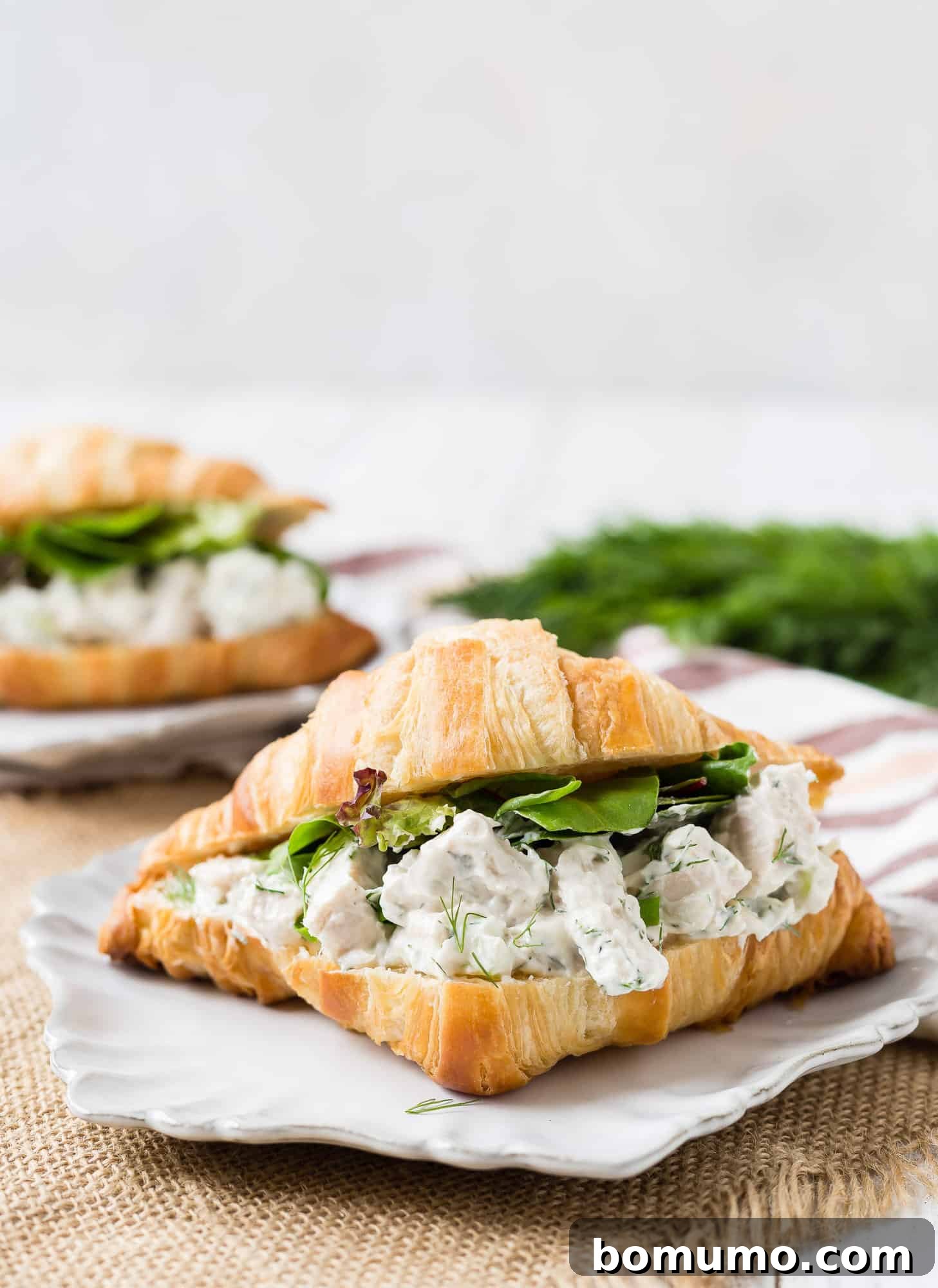 A delicious dill chicken salad sandwich with fresh lettuce and a side sandwich.