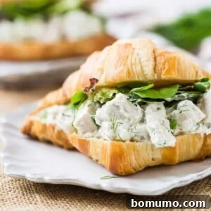 Dill chicken salad on a croissant.